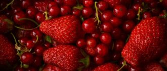Почему смородиновый сок так полезен