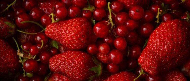 Почему смородиновый сок так полезен