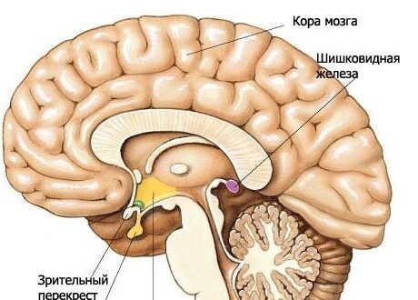 несахарный диабет диагностика