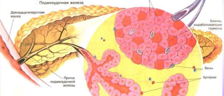 консультация у врача перед имплантацией